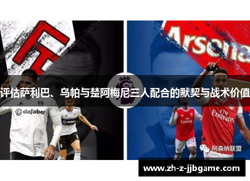 评估萨利巴、乌帕与楚阿梅尼三人配合的默契与战术价值